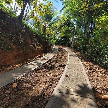 Private jungle “Loft del Rio” river access Uvita Esterno foto