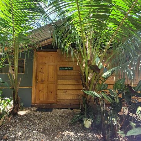 Private jungle “Loft del Rio” river access Uvita Esterno foto