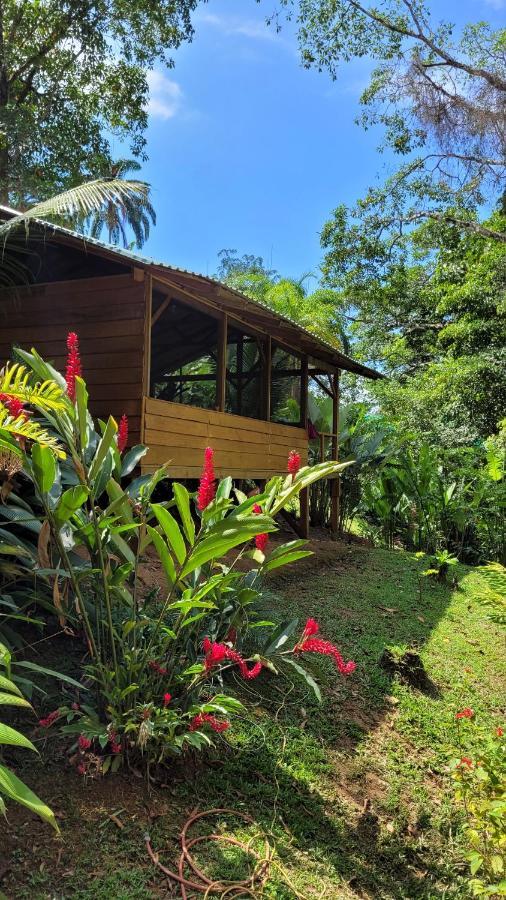 Private jungle “Loft del Rio” river access Uvita Esterno foto