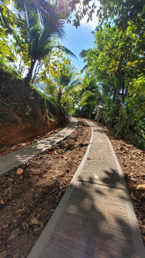 Private jungle “Loft del Rio” river access Uvita Esterno foto