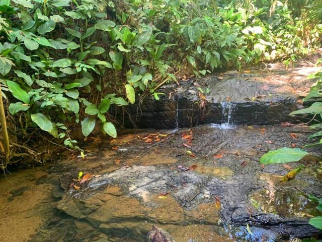Private jungle “Loft del Rio” river access Uvita Esterno foto